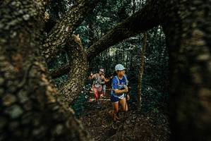 BIB: 
                            <button type="button" onclick="openModal(25702552)" class="btn btn-primary btn-sm float-right btn-popup" data-toggle="modal" data-target=".modal-high-quality">
                        <i class="fas fa-shopping-cart"></i> Add to Cart
                    </button>
                                            <button type="button" onclick="isThisMe(25702552, true)" class="btn btn-success btn-sm float-right btn-popup btn-isme hidden" data-toggle="tooltip" data-placement="bottom" title="นี่คือรูปของคุณใช่ไหม คลิกที่นี่เพื่อเอาเข้าอัลบั้ม">
                        <i class="fas fa-plus"></i> Add to album
                    </button>
                    <button type="button" onclick="isThisMe(25702552, false)" class="btn btn-warning btn-sm float-right btn-popup btn-isnotme hidden">
                        <i class="fas fa-ban"></i> Remove from album
                    </button>